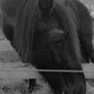 Meet your Posher, Kylie